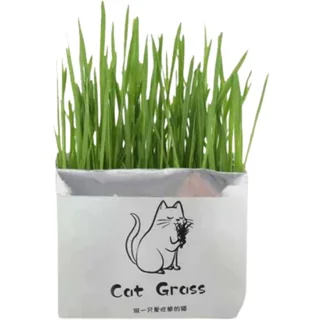 علف گربه مدل cat grass وزن ۱۰۰ گرم