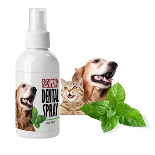 اسپری دنتال با عصاره نعنا رد اسپرینگ