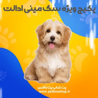 پک ویژه سگ مینی ادالت