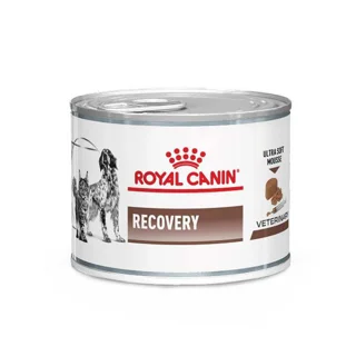 کنسرو ریکاوری سگ و گربه رویال کنین وزن ۱۹۵ گرم